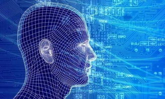 從小白到大數(shù)據(jù)人工智能專家的進(jìn)階之路 聚焦基礎(chǔ)軟件開(kāi)發(fā)