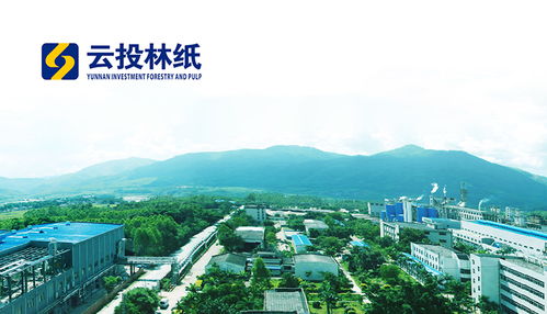 昆明網(wǎng)絡(luò)科技巨頭 奧遠(yuǎn)科技與頂播科技引領(lǐng)行業(yè)創(chuàng)新