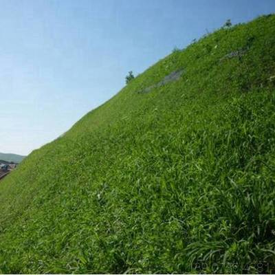 昆明礦山生態(tài)修復(fù) 噴播植草護(hù)坡單價(jià)優(yōu)勢(shì)與全國(guó)施工實(shí)踐